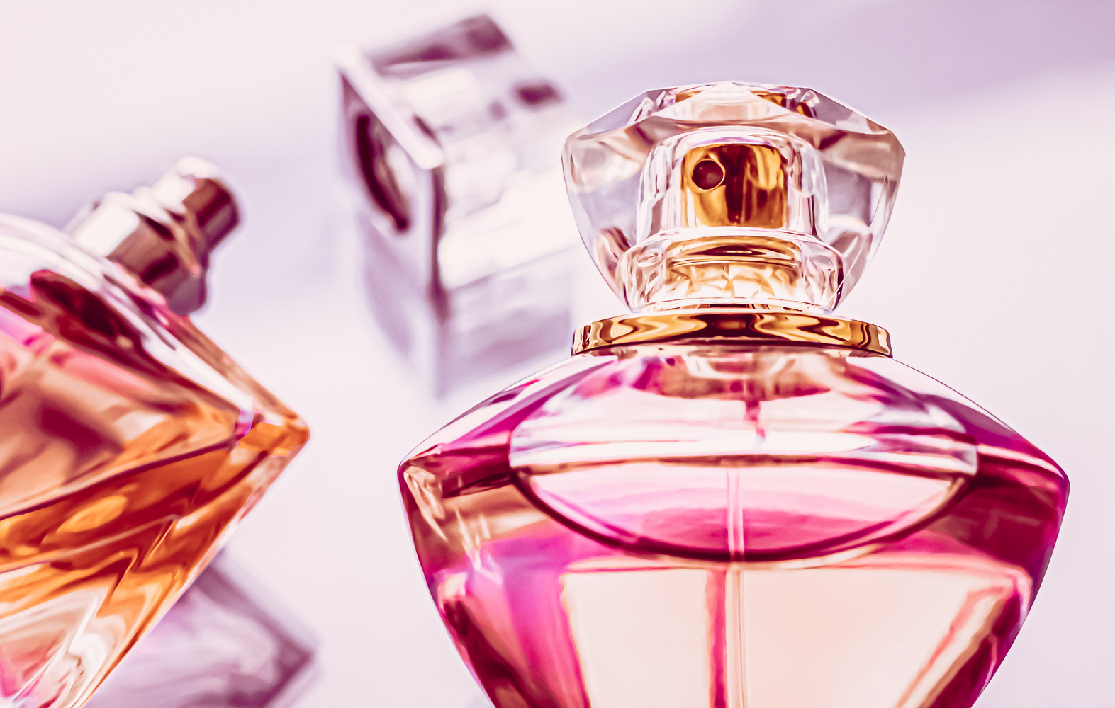 The Best Perfumes and Fragrances for Men and Women for Any Occasion